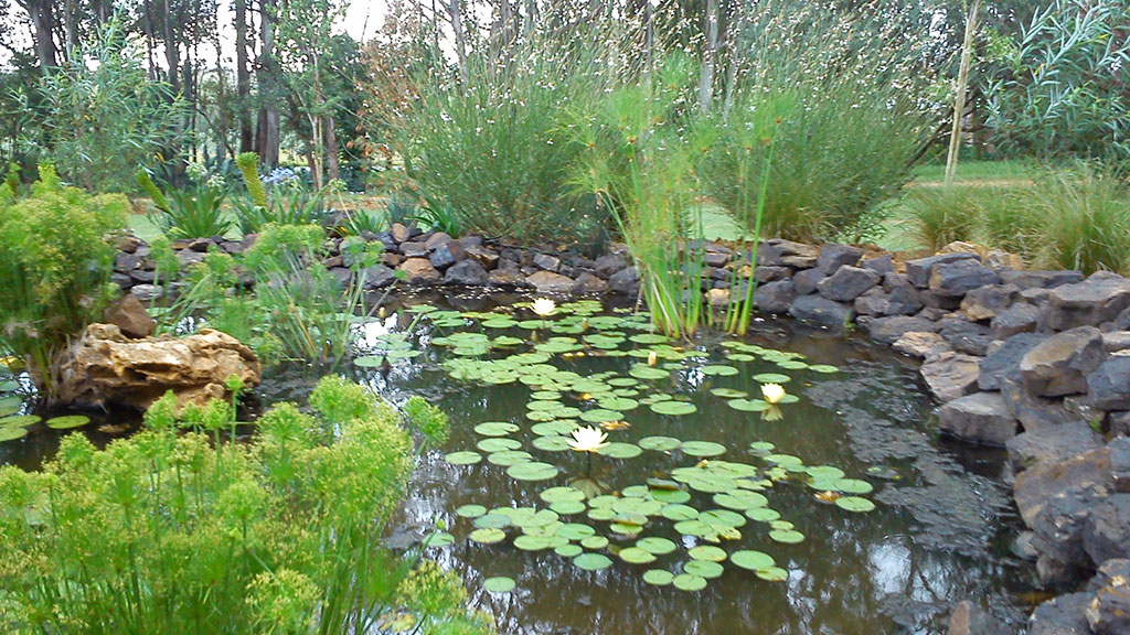 Pond3